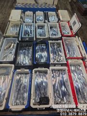 [진해] 통영갈치~제법들 커진놈들 손맛.입맛 좋네요~오늘 예약가능합니다