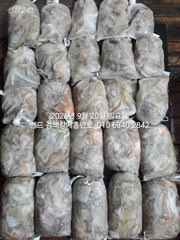 [군산] 9월19일 굿 조황 매일매일 사고친다 홈런호 .....군산 홈…