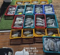 [진해] 팁런무늬오징어 오늘자리여유많습니다