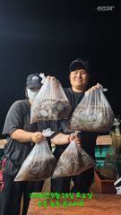 녹동몬스터호 19일 야간문어 대박 조황. 시간 순삭~~