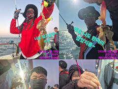 <레인보우호> 군산쭈꾸미 이제시작~잘나옵니다~실시간(20일)