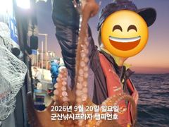 20일 주간문어~덩치급 문어들~연일 대박, 오늘도 잘 나오고 있어요~~실시간~ 군산낚시프라자 챔피언호