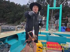 [진해] 진해 돌문어 새까만 돌문어 1kg오버 토요일 조황 최고두자리수 …