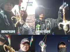 <뉴오리온호.>군산 쭈꾸미~ 실시간조황 (20일)