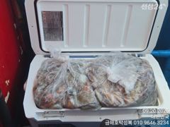님들이 문어낚시 기록을 새웠다며 문어금어기해제된날은 뭐도아니…