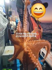 20일 주간문어~안정권~덩치급 문어들~망탱이조황~ 군산낚시프라자 챔피언호