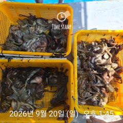 오늘도 유신호 문어는!