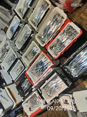 20일새벽 씨알큰 내만갈치 계속 호조황 퍼담 퍼담!! 월.화~예약가능