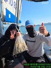 삼천포화이트펄 9월20일 쭈꾸미조황입니다