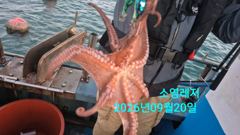 1시간전 [진해] 세 자릿수 대박 조황! 전체 150수 이상 우당탕 제대로 터졌습니다(월요일/예약가능)
