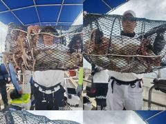 문어,160수,개인25수,24수,23수,22수,21수,왕창,,