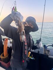 0916쭈사냥