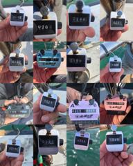 [쭈·갑조황] 26.9.20 미라클호 쭈갑조황