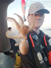 비응항 군산리더호 주꾸미 조황 사진