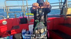 루어파이터호-9/21 월 [2물] 쭈꾸미/갑오징어 조항 입니다.