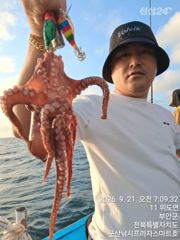 비응항 스마트호 돌문어 조황 사진