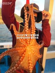 비응항 임마누엘호 돌문어 조황 사진