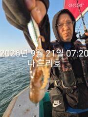 비응항 나드리호 주꾸미 조황 사진