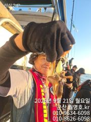비응항 월명호 주꾸미 조황 사진