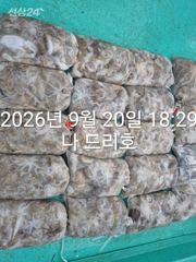 비응항 나드리호 주꾸미 조황 사진