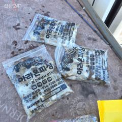 오전 시간배 조황