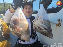 20일 문어조황입니다.