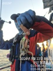 22일, 군산쭈꾸미, 나오고 있어요~오전반 실시간~~군산낚시프라자 월명호
