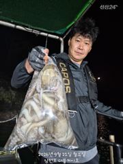 삼천포 야간문어조황! 주간주꾸미, 주야간 문어 매일출조!
