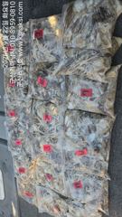 ●군산리더호 대형지퍼백으로 꽉꽉 눌러담았어요.낼자리여유●