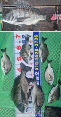 [마산] [바다마을호] 4짜외 감성돔 조황(9/21)