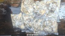 쭈갑조황 글만 보기