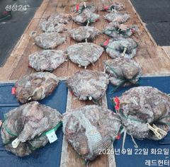여수레드헌터피싱 9월22일(화) 돌문어 바람불어도 HOT, 굿굿굿 조황입니다