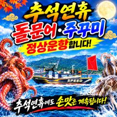 팔포항 스피드피싱 돌문어 · 주꾸미 조황 사진