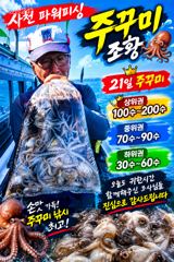 팔포항 파워피싱 돌문어 · 주꾸미 조황 사진