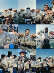 먹물 글만 보기