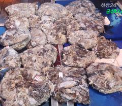 23일 군산k1 주꾸미갑돌이 탕!탕!탕!
