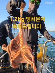 [사천] 삼천포 마린보이 9. 23. 덩치 주간문어 대박조황으로 다녀왔습…
