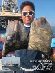 23일, 군산쭈꾸미,연일 좋아요~빵빵한 망탱이 굿조황~~군산낚시프라자 하이원호