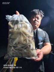 광어조황 글만 보기