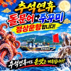 팔포항 스피드피싱 돌문어 조황 사진
