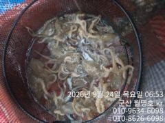 24일 오전반 실시간