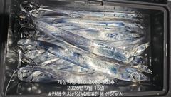 준내만 4지급 텐빈 은빛 갈치 대박 쿨러 가득 조황!! 내일자리여유많음