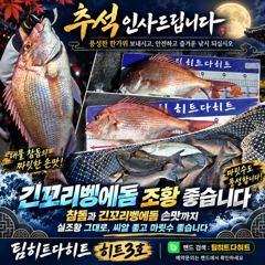 [거제] 선상흘림/긴꼬리벵에돔 마릿수에,56.52. 대물참돔까지