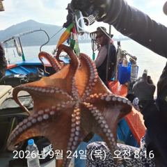 [사천] 문어 장원 21마리 씨알이!