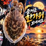 [팀바이트호] 9월24일 갑오징어 낚시