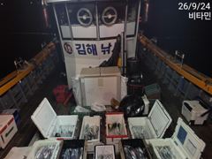 ●먼바다갈치 쿨러조황 금,토,일~●갈치 텐빈 토,일~예약가능