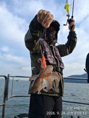 [사천] 왕주꾸미 ~24일조황~27일부터~예약받습니다