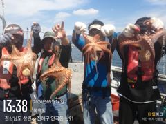 [진해] 24일문어 1.6K부터 키로급들 쏟아지네요(토,가능)
