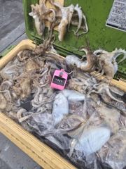 쭈갑조황 글만 보기