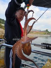 팔포항 마린보이피싱 돌문어 조황 사진